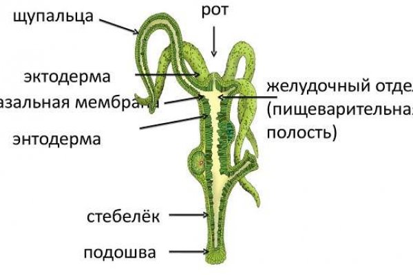 Сайты наркоты