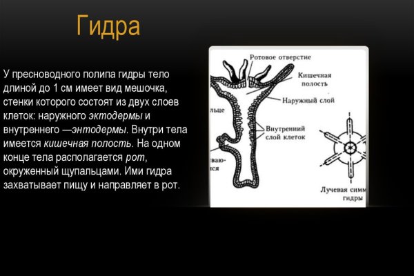 Кракен новый маркетплейс