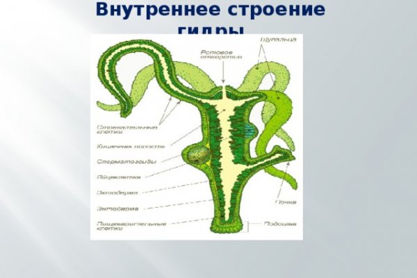 Кракен магазин kr2web in тор